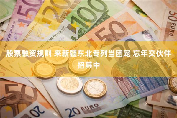 股票融资规则 来新疆东北专列当团宠 忘年交伙伴招募中