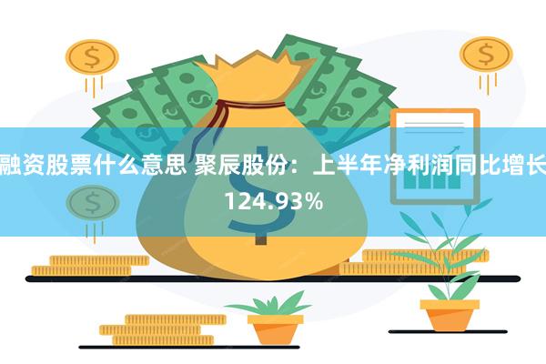 融资股票什么意思 聚辰股份：上半年净利润同比增长124.93%