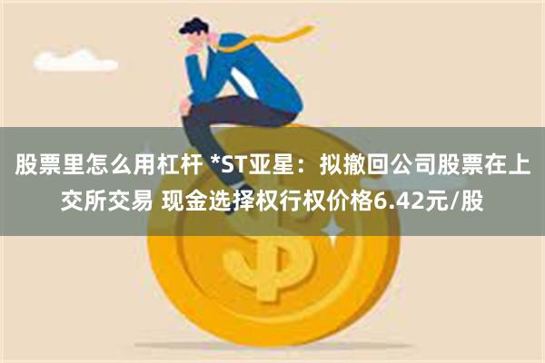 股票里怎么用杠杆 *ST亚星：拟撤回公司股票在上交所交易 现金选择权行权价格6.42元/股