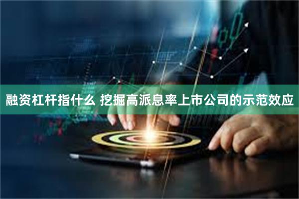 融资杠杆指什么 挖掘高派息率上市公司的示范效应