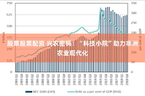 股票股票配资 兴农密码！“科技小院”助力非洲农业现代化