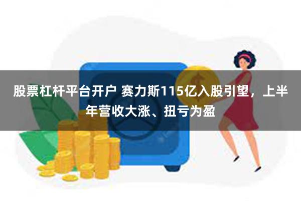 股票杠杆平台开户 赛力斯115亿入股引望，上半年营收大涨、扭亏为盈