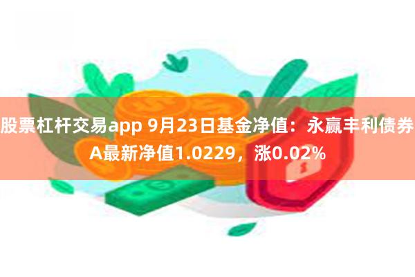 股票杠杆交易app 9月23日基金净值：永赢丰利债券A最新净值1.0229，涨0.02%