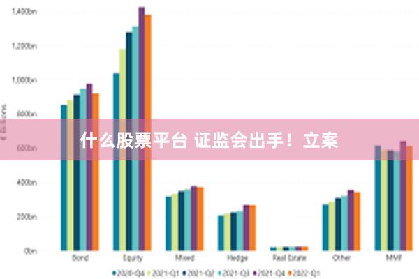 什么股票平台 证监会出手！立案