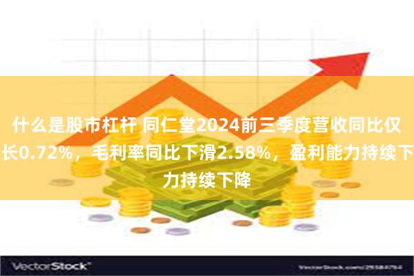 什么是股市杠杆 同仁堂2024前三季度营收同比仅增长0.72%，毛利率同比下滑2.58%，盈利能力持续下降