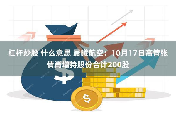 杠杆炒股 什么意思 晨曦航空：10月17日高管张倩肖增持股份合计200股