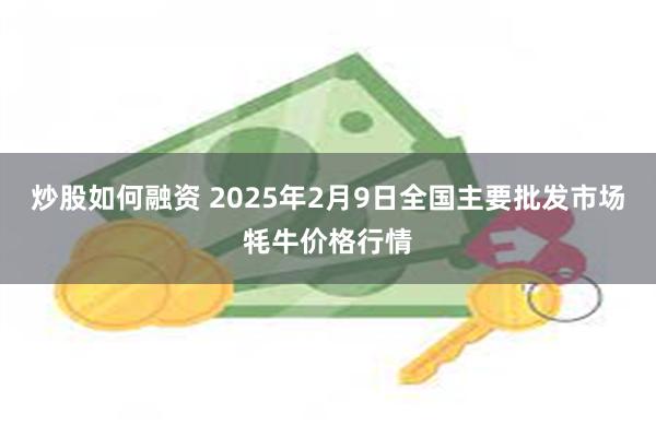 炒股如何融资 2025年2月9日全国主要批发市场牦牛价格行情