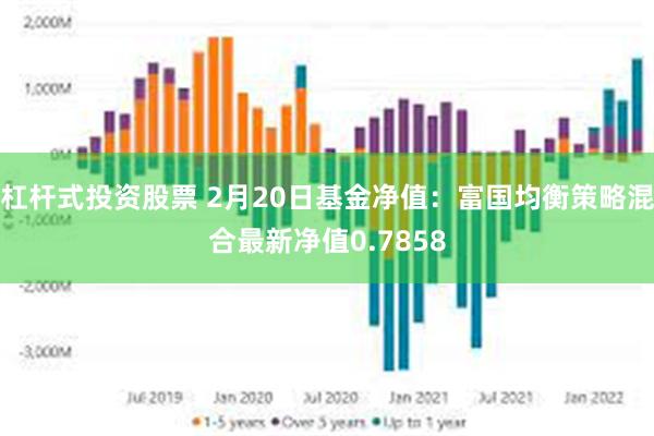 杠杆式投资股票 2月20日基金净值：富国均衡策略混合最新净值0.7858