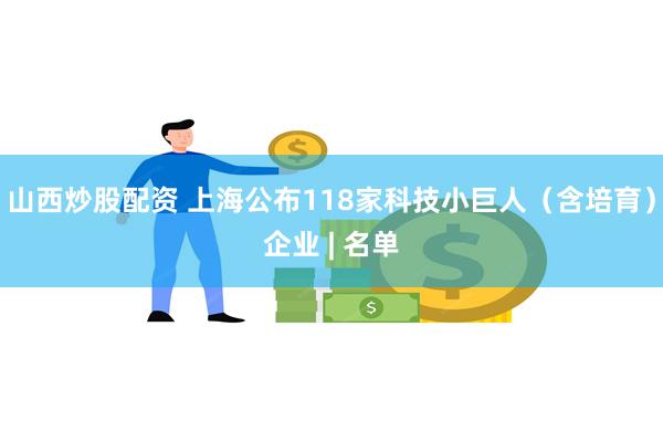 山西炒股配资 上海公布118家科技小巨人（含培育）企业 | 名单