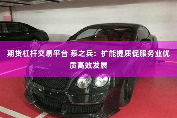 期货杠杆交易平台 蔡之兵：扩能提质促服务业优质高效发展