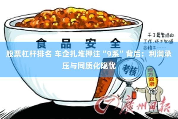 股票杠杆排名 车企扎堆押注“9系”背后：利润承压与同质化隐忧