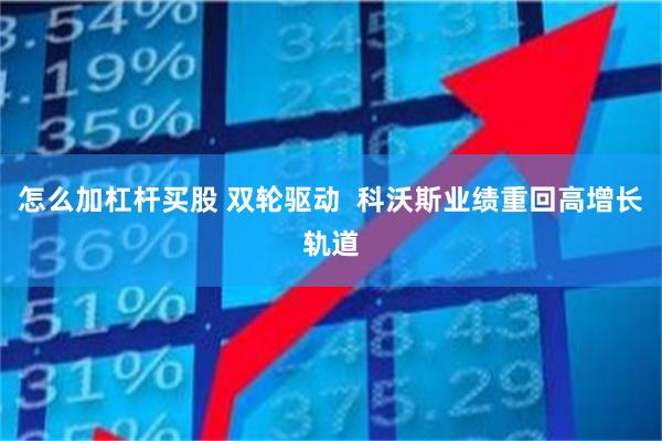 怎么加杠杆买股 双轮驱动  科沃斯业绩重回高增长轨道