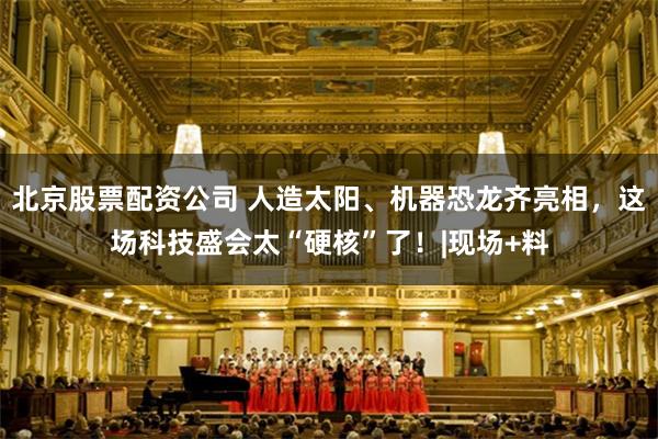 北京股票配资公司 人造太阳、机器恐龙齐亮相，这场科技盛会太“硬核”了！|现场+料