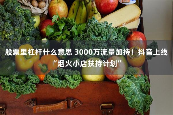 股票里杠杆什么意思 3000万流量加持！抖音上线“烟火小店扶持计划”