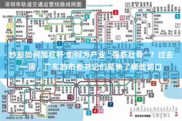 炒股如何加杠杆 如何为产业“强筋壮骨”？过去一周，广东的市委书记们聚焦了哪些切口