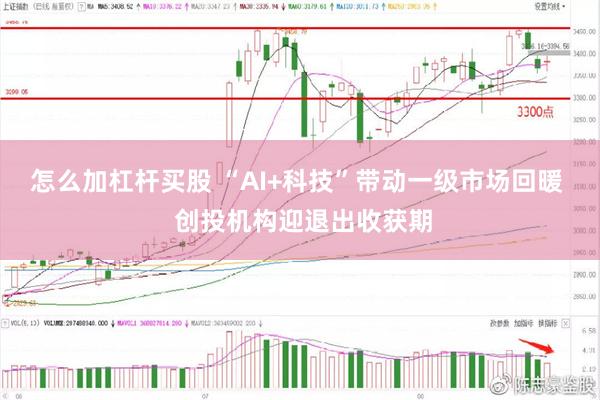 怎么加杠杆买股 “AI+科技”带动一级市场回暖  创投机构迎退出收获期