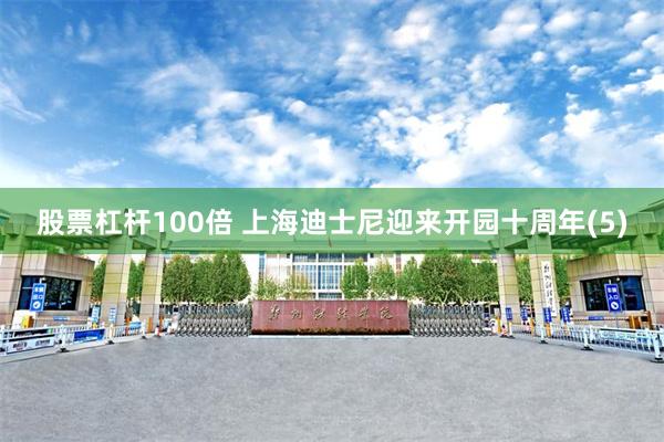 股票杠杆100倍 上海迪士尼迎来开园十周年(5)