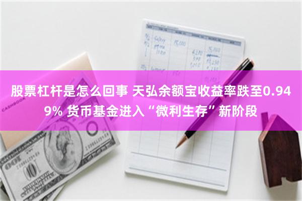 股票杠杆是怎么回事 天弘余额宝收益率跌至0.949% 货币基金进入“微利生存”新阶段