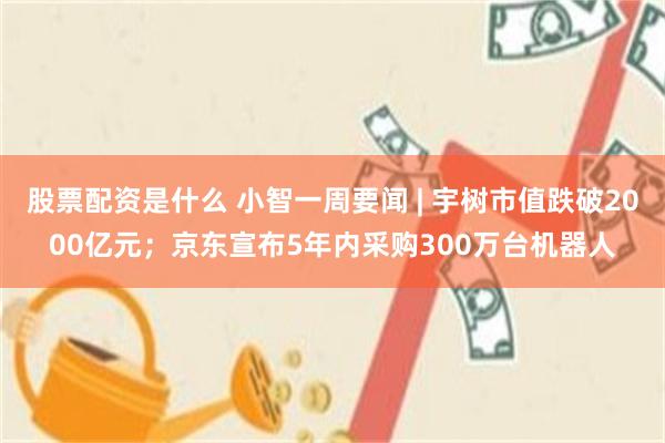股票配资是什么 小智一周要闻 | 宇树市值跌破2000亿元；京东宣布5年内采购300万台机器人